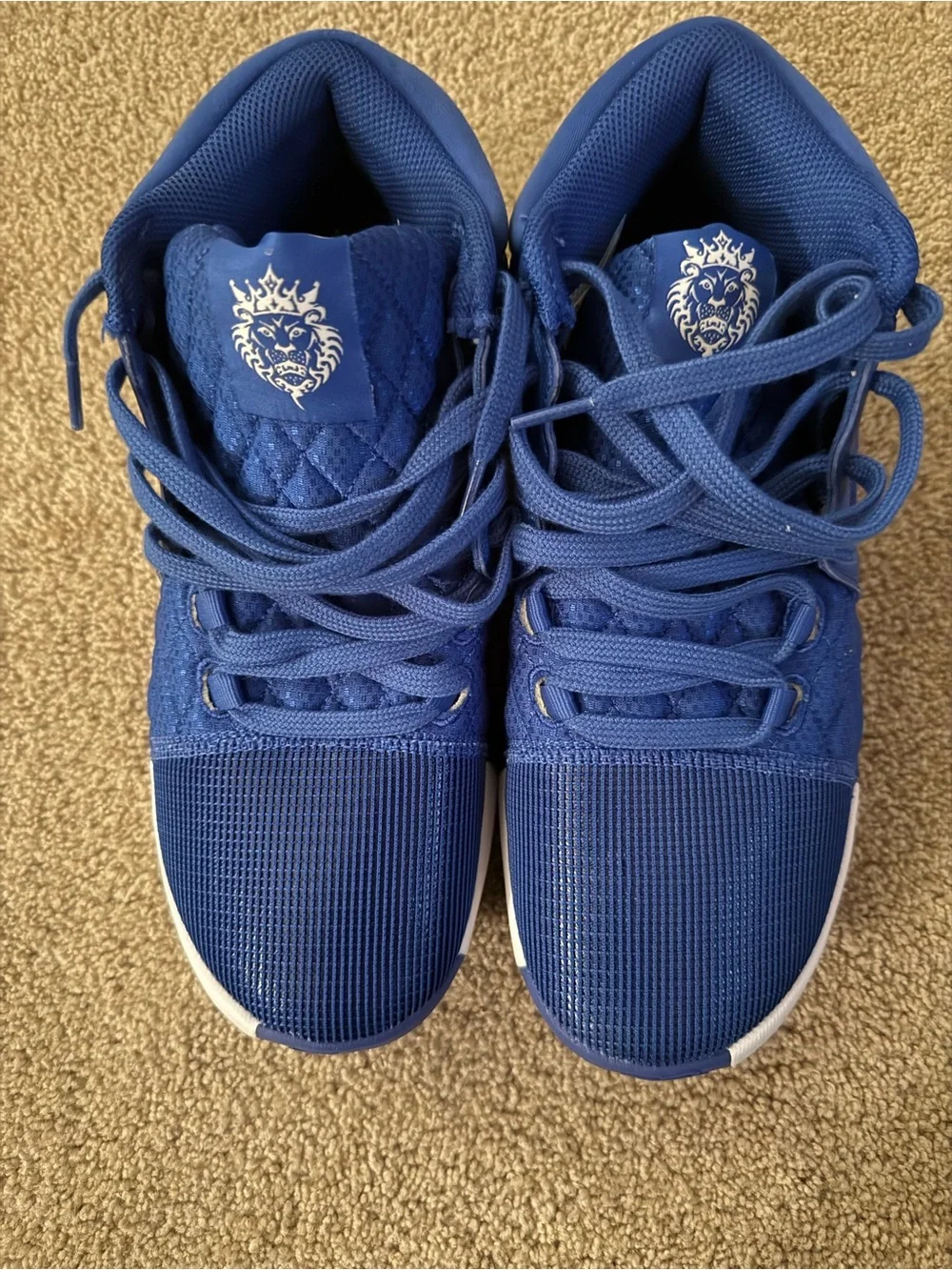 Nike Lebron Witness 8 TB Game Royal Blue White FB9944-401 Men’s Size 8